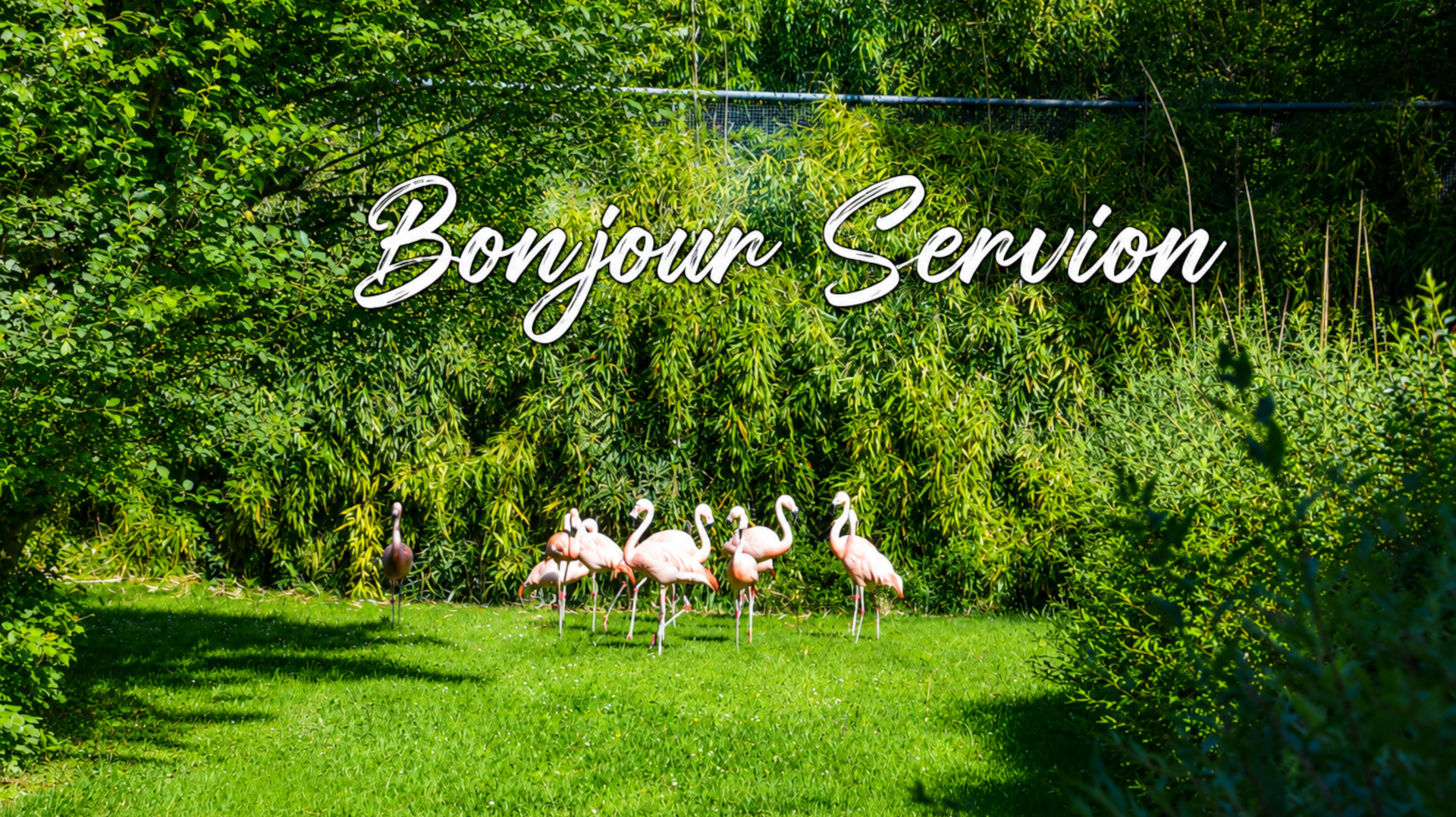 entreprises de la région 