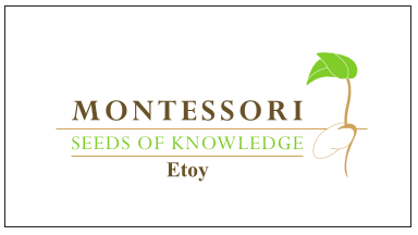 Montessori - Ecoles & Formations à Etoy