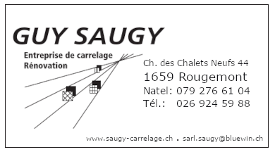 Guy Saugy Carrelage Sàrl - Pose et entretien carrelage et pierre naturelle - Bâtiment