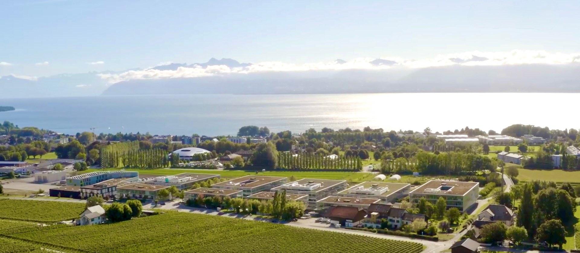 Business Park a-one à Rolle