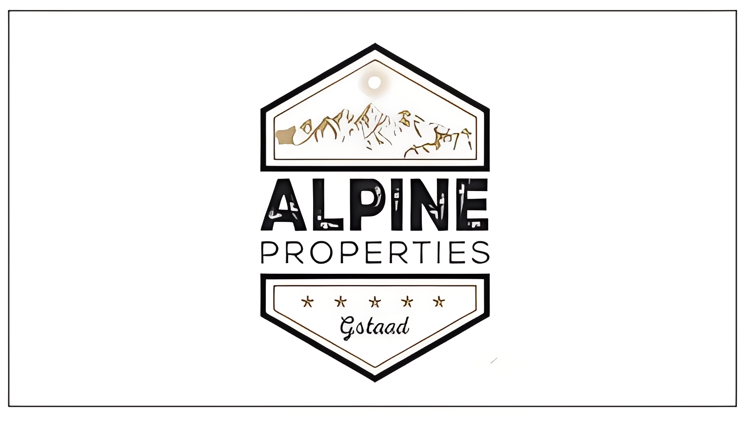 Alpine Properties Gstaad, Real Estate Agency - Immobilien à Saanen-Gstaad